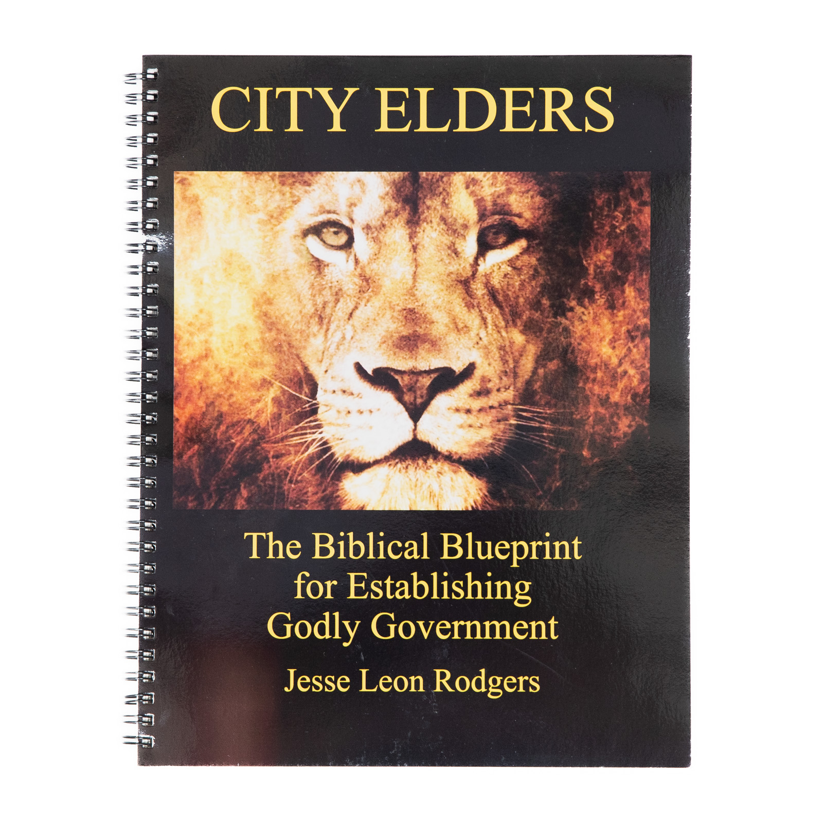 Book - City Elders BLUEPRINT